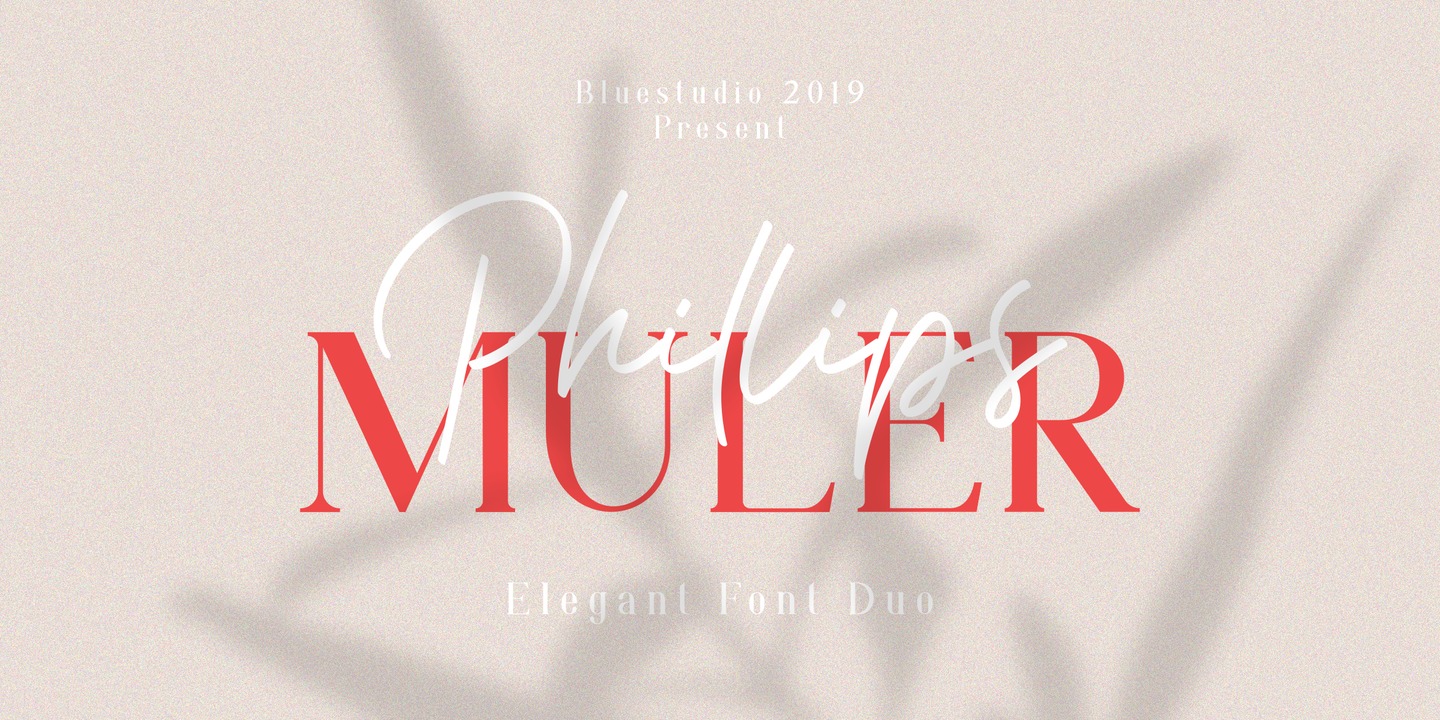 폰트 Phillips Muler